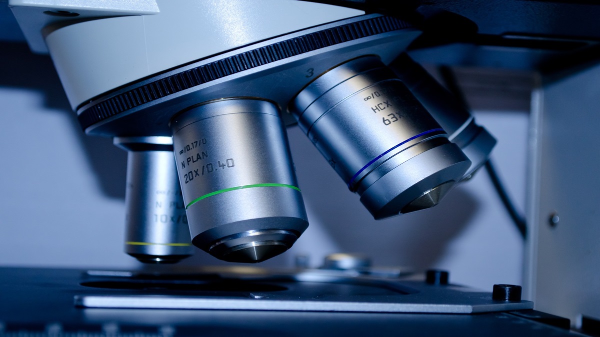 Metropolis, metropolis healthcare, diagnostics centre, healthcare news, diagnostics news, Metropolis, metropolis healthcare, diagnostics centre, healthcare news, diagnostics news,