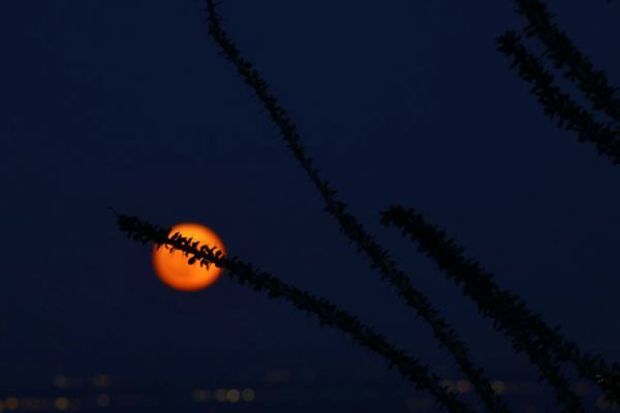 A rare astronomical event seen above Ciudad Juarez, Mexico. (REUTERS)