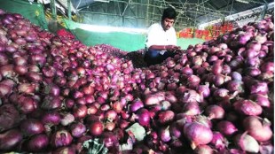 onion