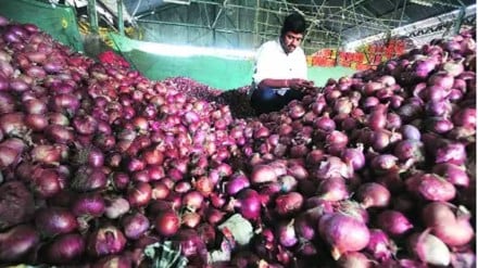 onion