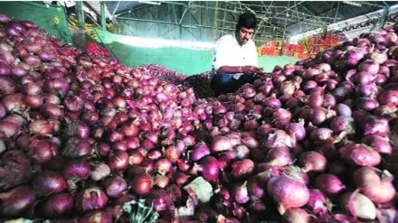 onion