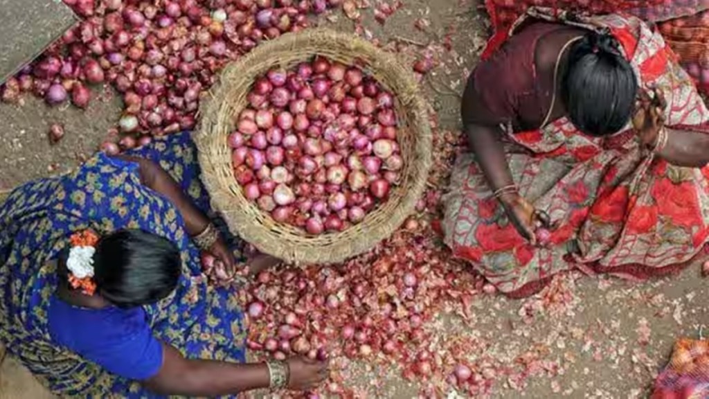 onion, market