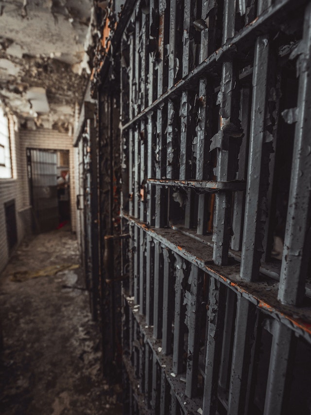 pexels-cameron-casey-1687067