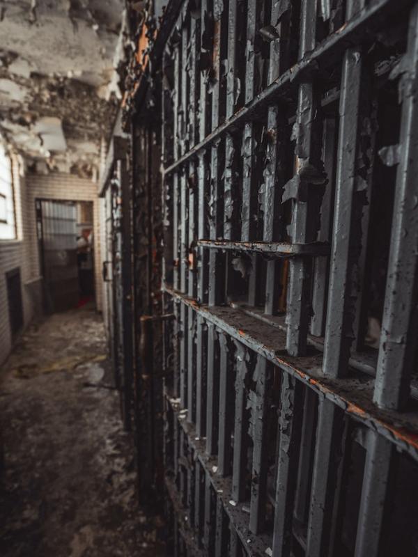 pexels-cameron-casey-1687067