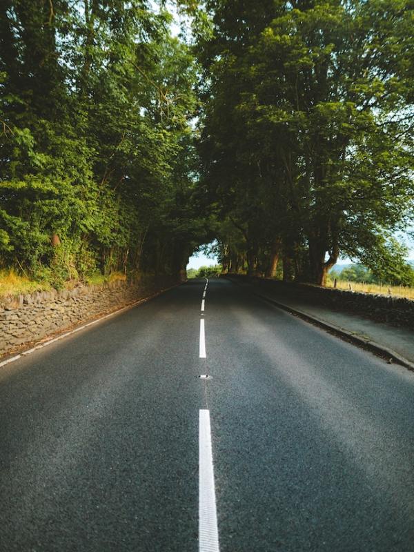 pexels-s-migaj-1237528