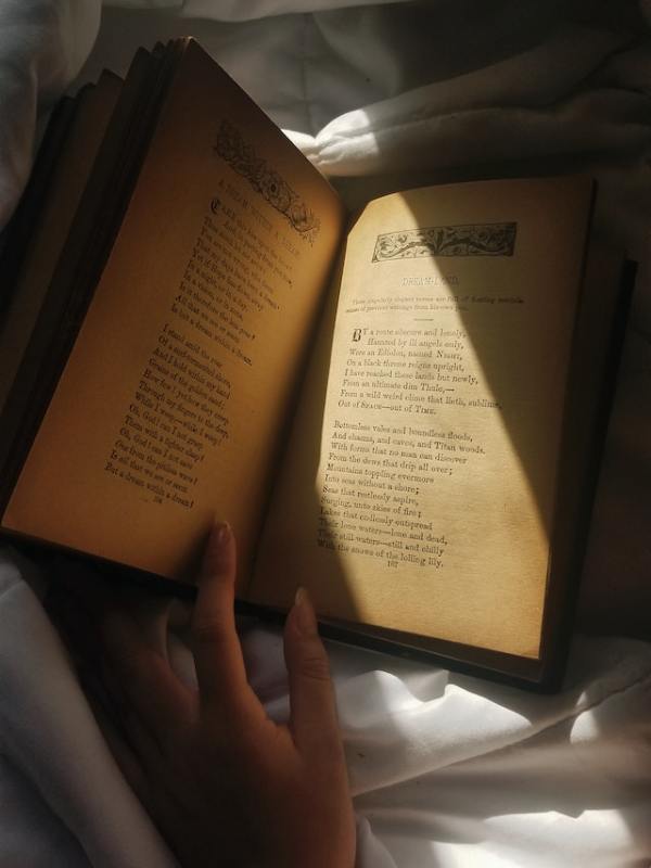 pexels-sofia-alejandra-3007370