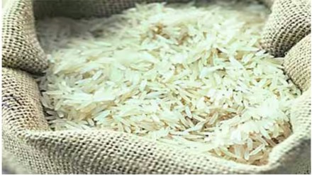 rice exports, China, India, export restrictions, customs data, shipment, local prices, overseas sales