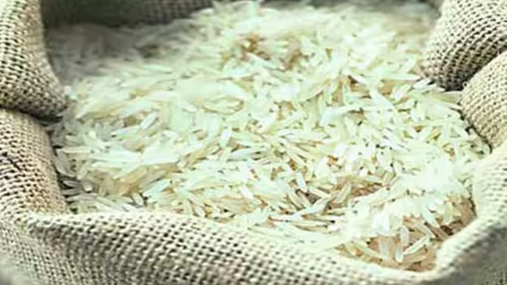 basmati rice, economy