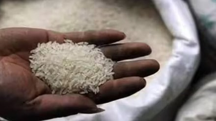 rice, economy