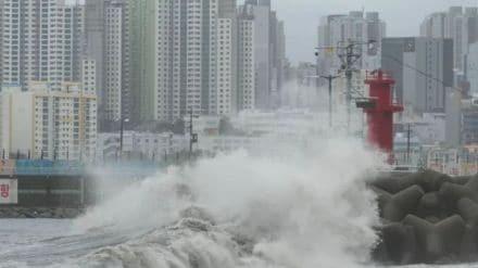 russia typhoon
