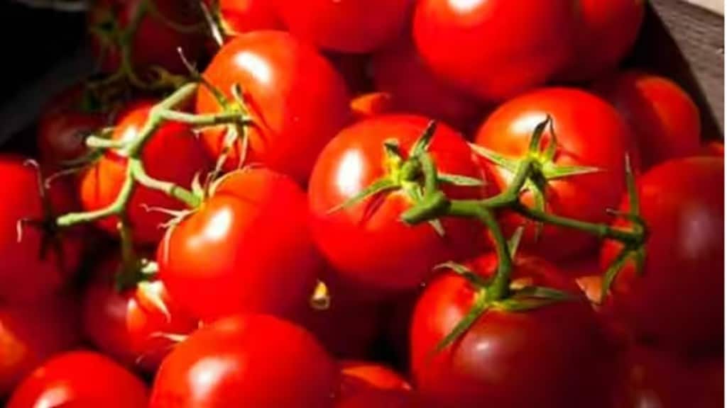tomato, commodities