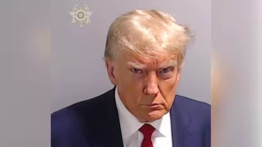 Donald trump in jail, Trump mug shot,