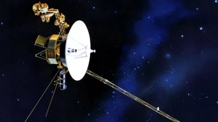 NASA Voyager 2, NASA spacecraft, NASA receives heartbeat signal from Voyager 2, NASA loses contact with Voyager 2, Voyager 2, Voyager 1