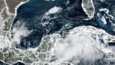 Florida, Florida latest news, Florida financial express news, World news financial express, Tropical Storm Idalia , Tropical Storm Idalia latest news