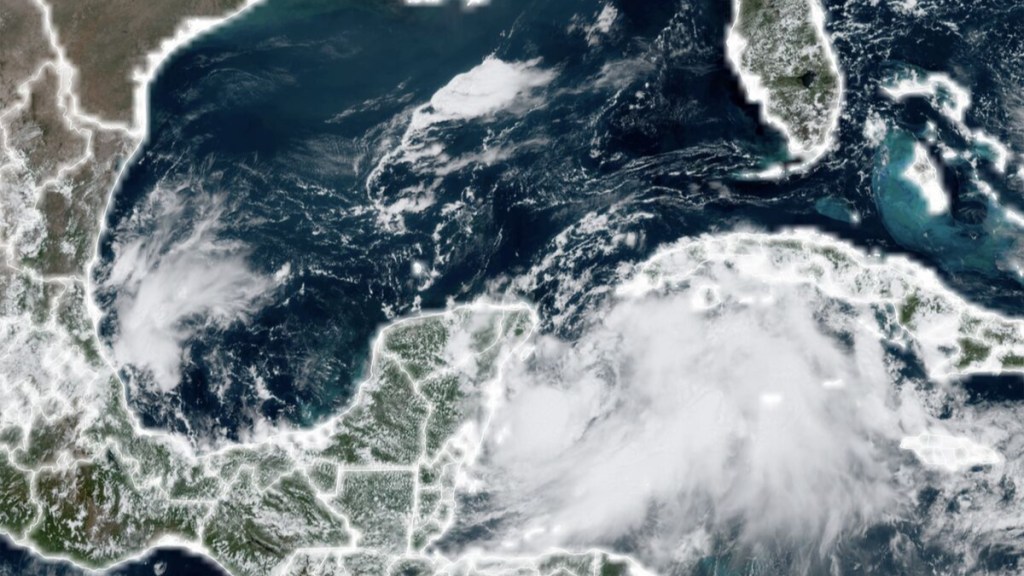 Florida, Florida latest news, Florida financial express news, World news financial express, Tropical Storm Idalia , Tropical Storm Idalia latest news