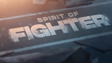 fighter