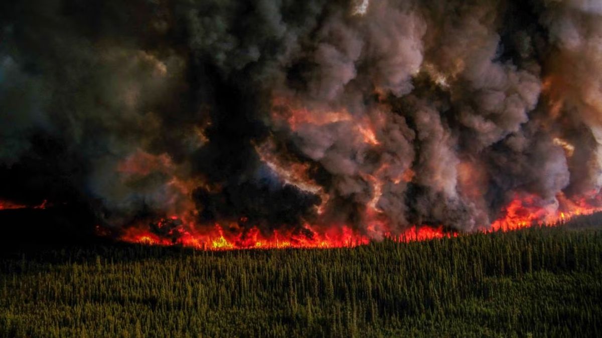British Columbia declares state of emergency as firefighters battle ...