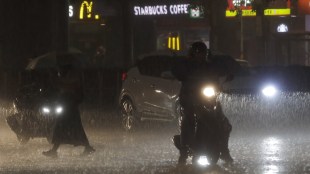 typhoon, taiwan, taiwan latest news, typhoon haikui, typhoon saola,