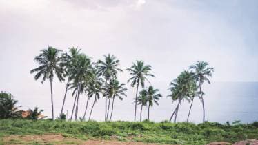 book, India