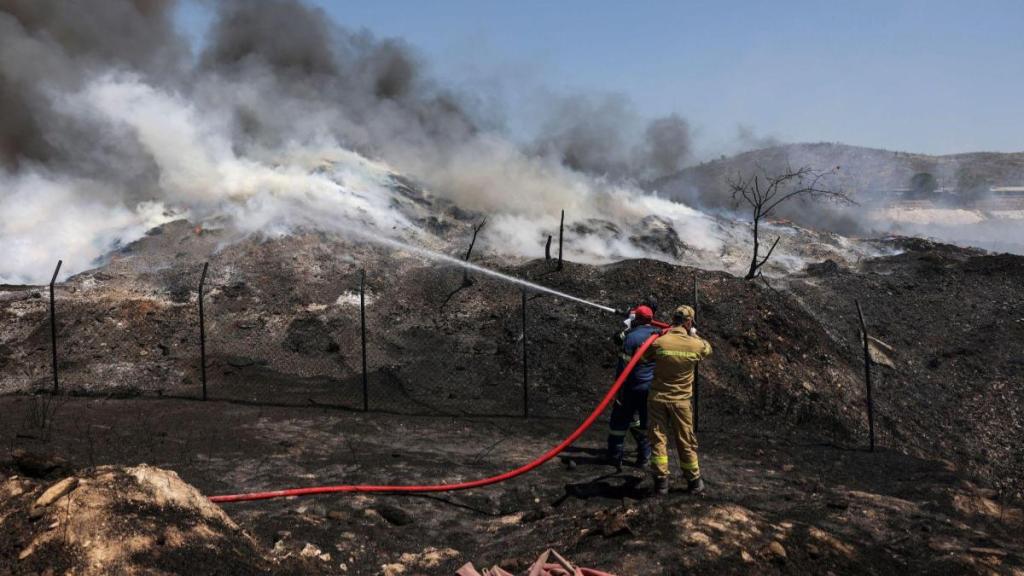 Immigration, Politics, Forests, Wildfires, Climate and environment, World news, General news