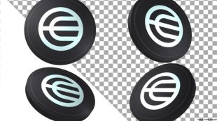 Worldcoin “silently discontinued” the orb verification process in India