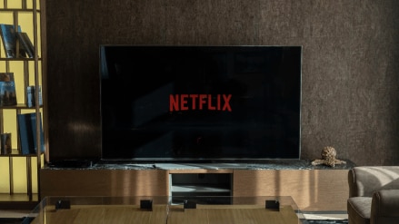 The company said subscriber additions would be similar to the just-ended quarter, plus or minus a few million