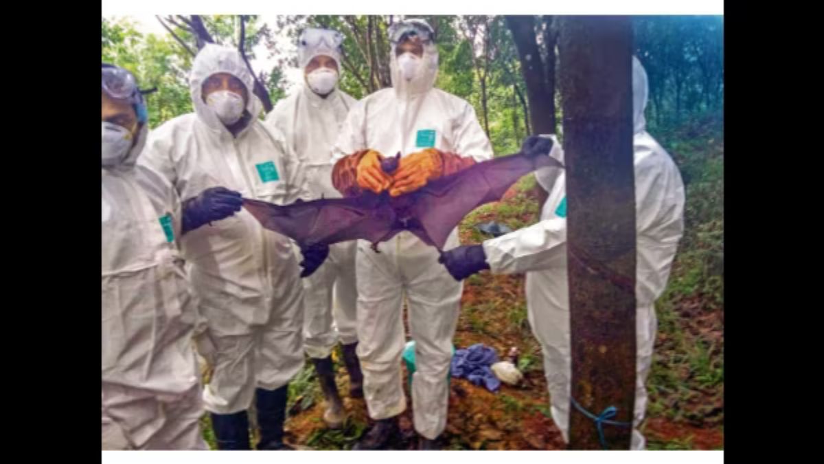 nipah virus, kerala, kerala news, kerala latest news, kozhikode, healthcare, infection, disease, india, india news, india latest news nipah virus, kerala, kerala news, kerala latest news, kozhikode, healthcare, infection, disease, india, india news, india latest news
