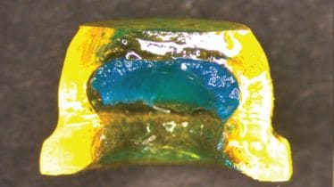 Drug delivery, octopus patch, needle-less drug delivery, healthcare news, medical devices,