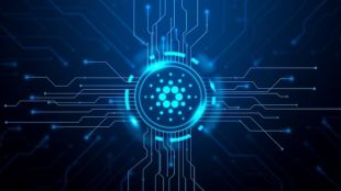 Going by oorja’s official website, it’s a part of the ISTEM program