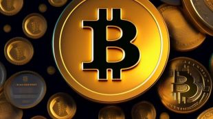 Haru Invest is a troubled cryptocurrency platform