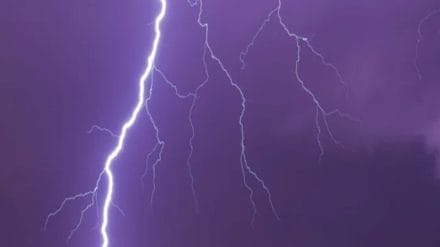 Gujarat: 20 killed in lightning strikes amid unexpected rains across state