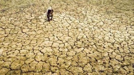 climate change
