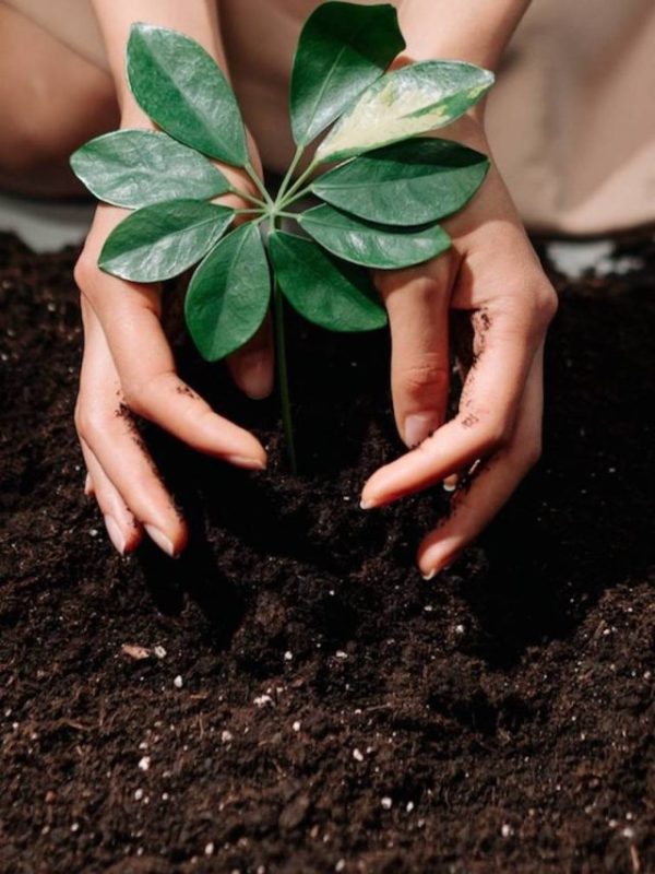 SIP investment strategy