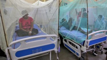 Dengue, uttar pradesh, new delhi, dengue outbreak
