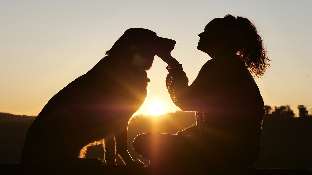 sploot, pet parenting, pet care, info edge, angel investors, Supertails, Vetic, Snouters, Zoivane, Just Dogs sploot, pet parenting, pet care, info edge, angel investors, Supertails, Vetic, Snouters, Zoivane, Just Dogs