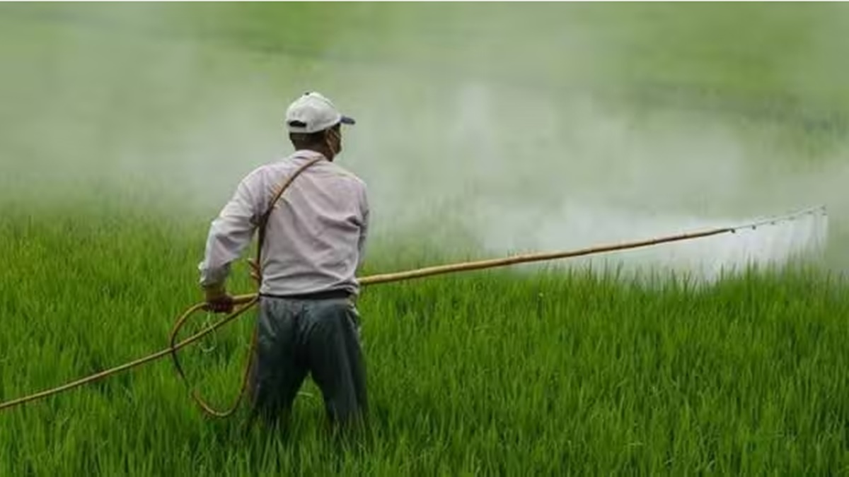 fertilizer