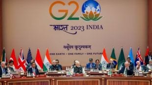 G20 declaration on climate: Redefines LiFE with a reminder on past commitments
