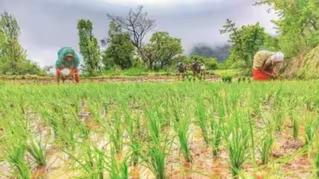 monsoon