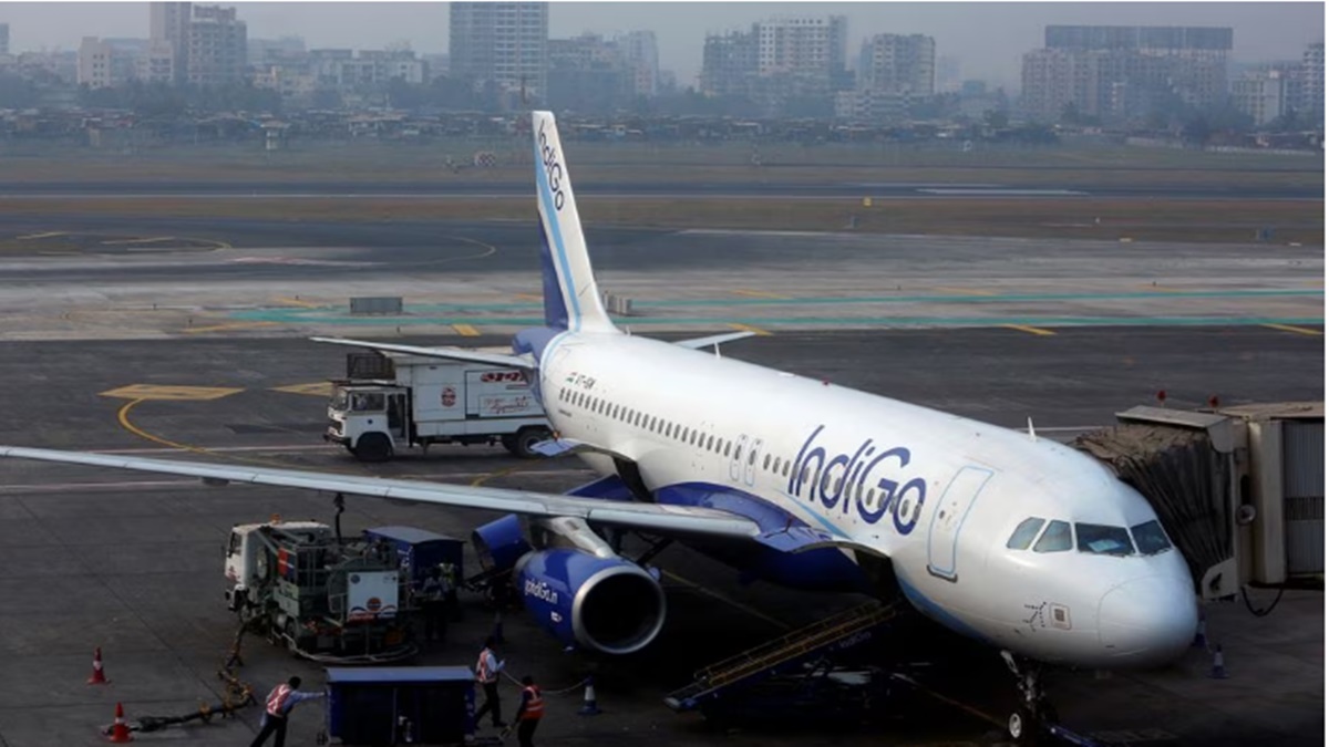 Indigo Indigo