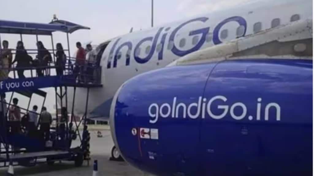 Indigo