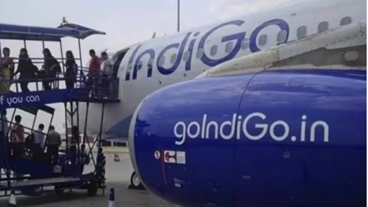 Indigo Indigo