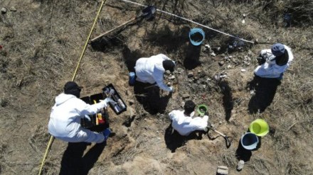 Mexico killing, 12 dead in Mexico, gang war in Mexico, drug cartels in Mexico, Mexico, Mutilated corpses, dismembered body parts of 12 people found, Mutilated corpses, dismembered body parts of 12 people found in Mexico, Mexico killings, 12 people killed in Mexico, people killed in Mexico