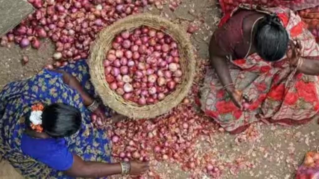 Onion prices, onion prices news, onion news, latwst news onion, onion orices financial exoress Onion prices, onion prices news, onion news, latwst news onion, onion orices financial exoress