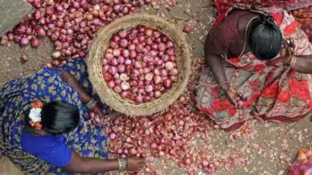 Nasik onion mandis, Nasik onion, Maharashtra onion, onion, onion news, maharashtra mandis