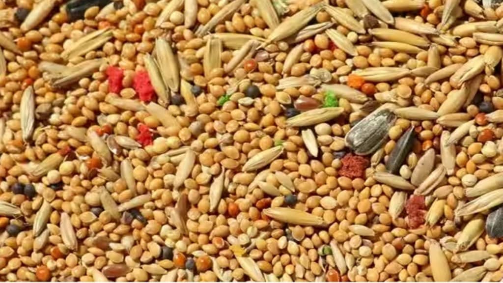 FMCG, R&D, millets, market research, Consumer preferences, innovation, sustainable foods, government policies