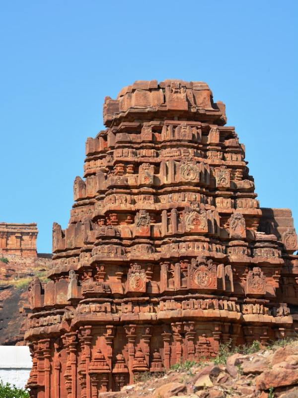 pexels-abhinandan-j-patil-18331898 (1)