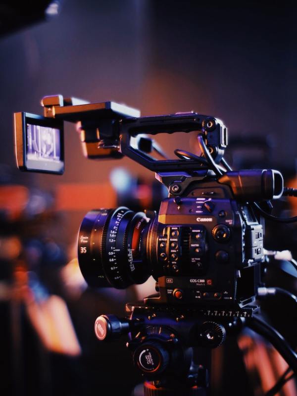 pexels-bruno-massao-2873486