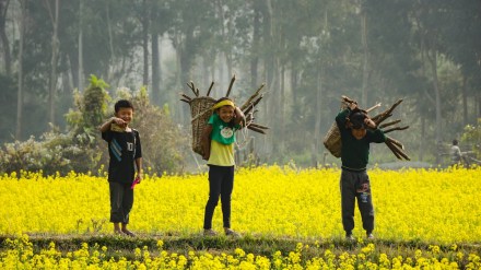 agritech, ERGOS, series B funding, funding news