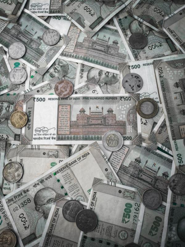 pexels-mister-fotofreak-6465163 (1)