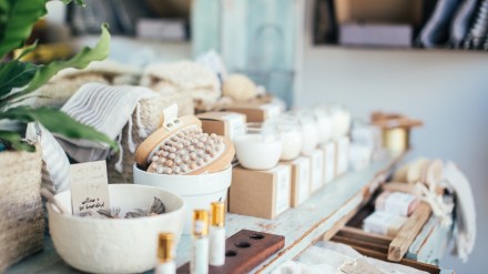 startup, Pilgrim, funding news, startup funding, vertex ventures